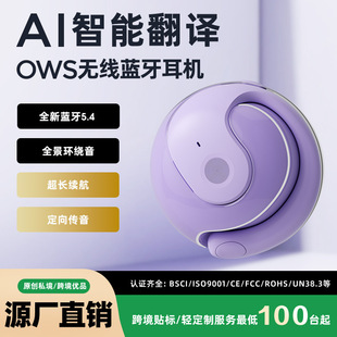 2025���{�����C�羳����СҬ��OWS�����ʽ�\���{�����CAI���g