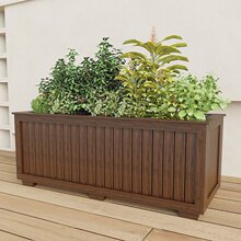 ����ľ�����L����̼����̖��ľ�����̨����N����ͥԺ�Nֲ�仨��