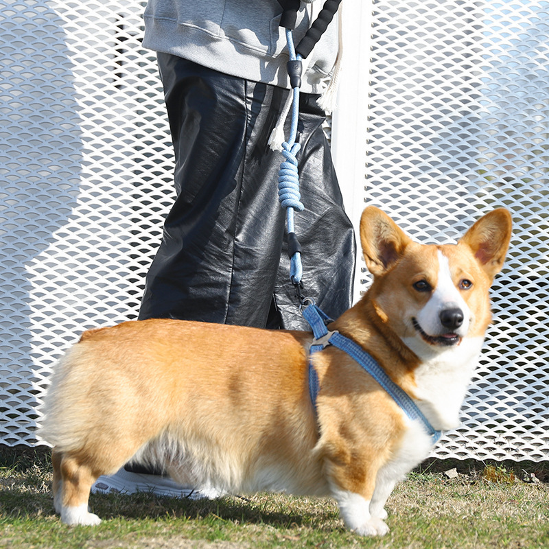 O1CN01XDFQLX2IOSeRsQfy7_!!9731