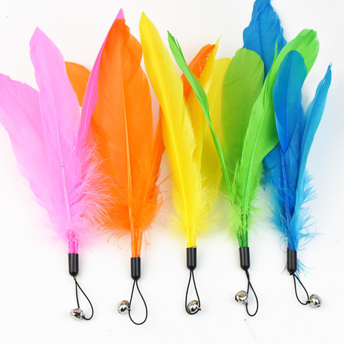 Colorful large feather cat amusing stick, replacement head toy, feather replacement head, chicken feather replacement head, cat relief toy