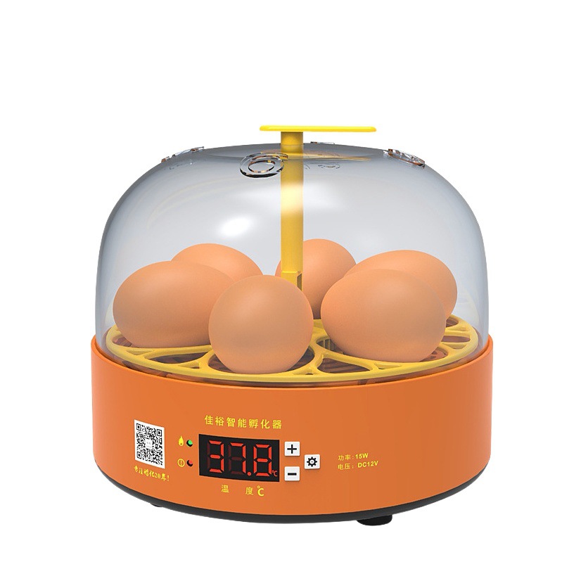 Mini 4 unidades 6 unidades incubadora de pollo pequeño hogar ciencia y educación incubadora transfronteriza inteligente incubadora automática
