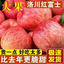 陕西洛川苹果10斤新鲜水果红富士当季整箱礼盒冰糖心脆甜苹果