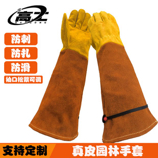 �¼����޼��÷��̷�����ܛţƤ����@�ֈ@ˇ����õ�廨���{��