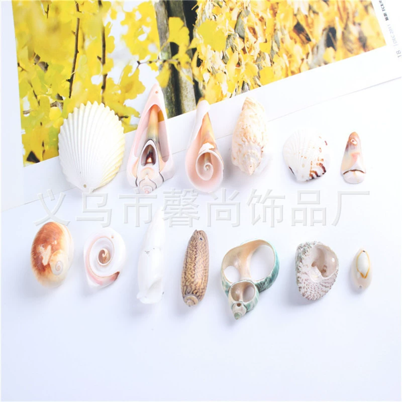 Природные раковины морские природные раковины небольшой подарок Камера ювелирные изделия завод оптом