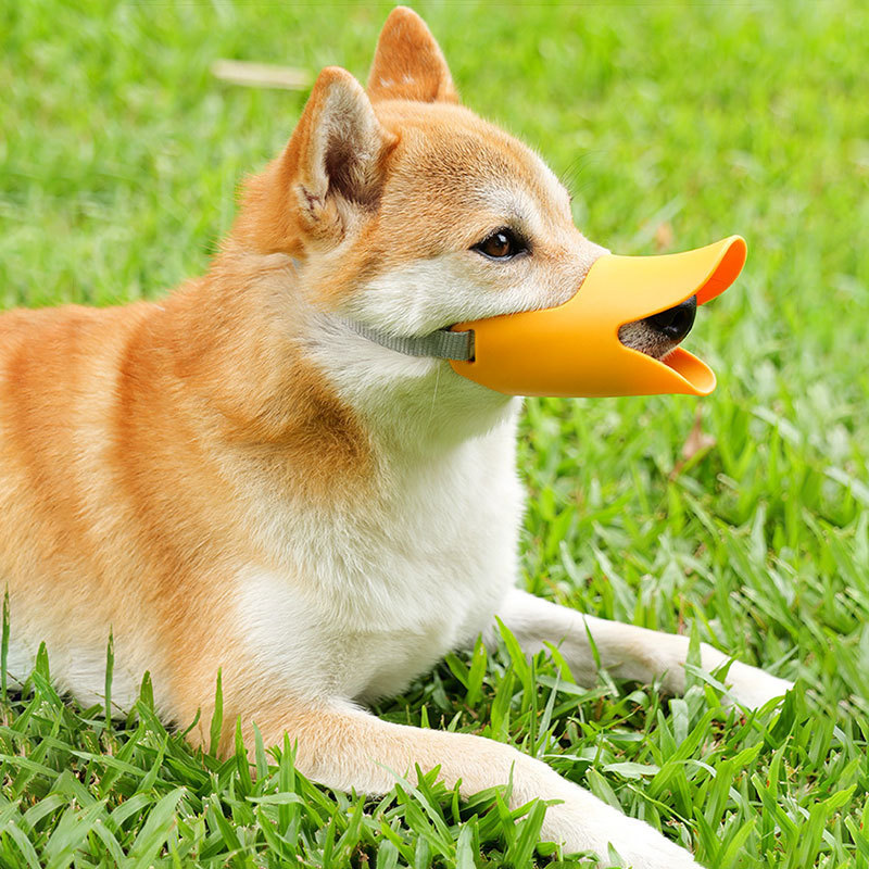 犬とアヒルの口のカバーが噛まれないようにします。テディカバーの小型子犬の吠え止め器ペットマスクのコーキ博美用品を食べます。|undefined