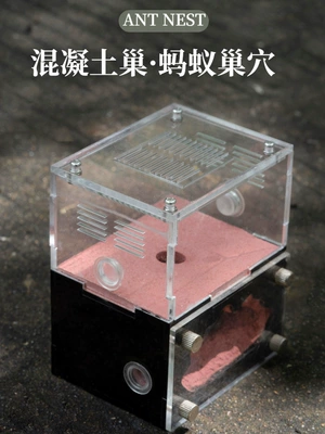 Ev heyvanları üçün beton yuva, 3D çaplı qarışqa emalatxanası
