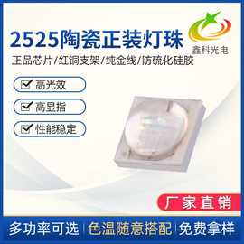 工厂直销LED2525陶瓷正装灯珠3W灯珠手电筒灯氛围灯灯珠贴片批发