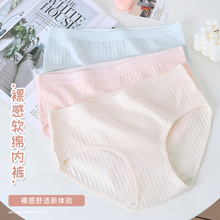 无痕内裤女士2024新款少女生纯棉抗菌全棉裆中腰大码三角短裤薄款