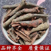 ��ș�ļt���ٶ������ٶ��������������u����ţ�����ٰ�Ƥ�z��