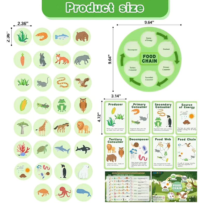 Kit de ciclo de vida para niños animales aprendizaje fieltro cadena alimentaria y redes alimentarias juguetes educativos científicos,