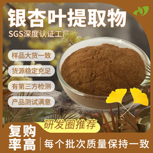 壹贝子行业精选银杏黄酮24%内酯6%工厂现货原料银杏叶提取物散装