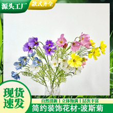 ������˹�շ��滨��c�Y���b����ՔzӰ·�����Ų廨�͏d����