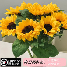 ���տ��r���滨���l��������ֱ�l�߿��п��W�����I�Y��һ�e�Z��