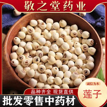 湖南湘莲子 500g散装大颗白莲子红莲子各种规格 现货批发支持大货