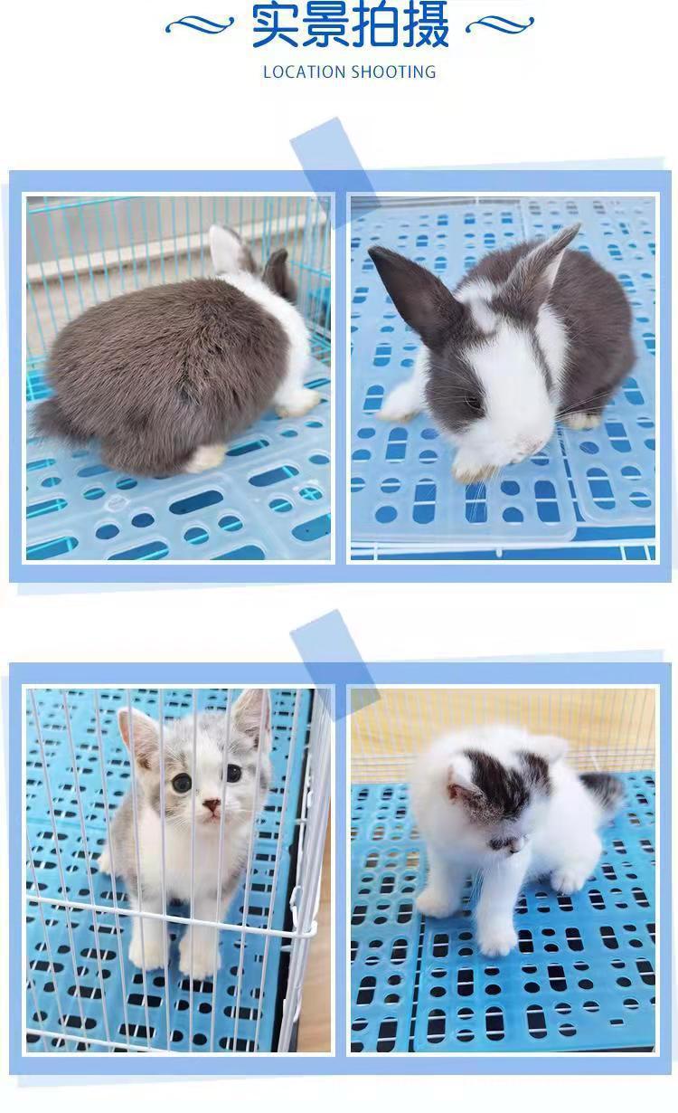 9028346234ee3b24806b63bc515b53