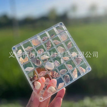 TEMUSHEIN贝壳收纳盒海螺微贝标本收集高透明盒子亚克力收纳密封