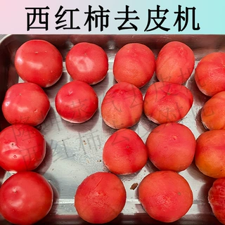 全新升级西红柿蒸汽去皮机 全自动猕猴桃加工去皮设备 新款脱皮机