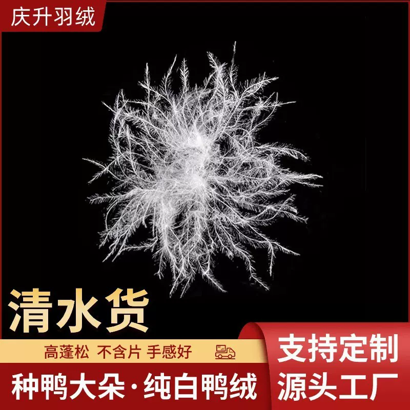 羽绒厂家直销98白鸭绒种鸭大朵羽绒被填充物高蓬松纯白羽绒批发