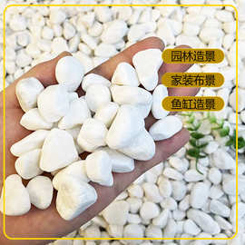 供应白色卵石园林造景庭院铺路用鹅卵石盆栽装饰白碎石白石子