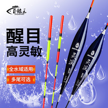 鱼漂套装新款浮漂纳米醒目鲫鱼浮标轻口野钓高灵敏渔漂浅水漂批发