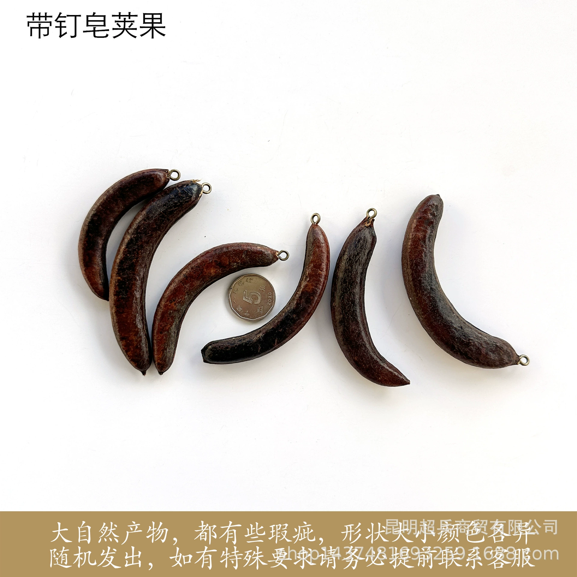 [Fruit with nails] Acorn with horn nails diy handmade necklace dried flower earrings fruit raw materials