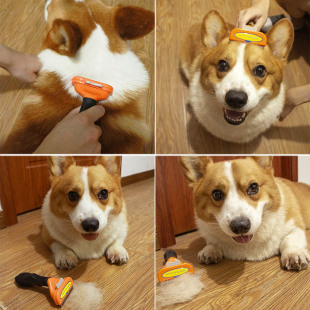Dog Corgi Comb to Remove Floating Hair, Medium-Sized Dog Teddy Bichon Small Dog Brush Dog Hair Pet