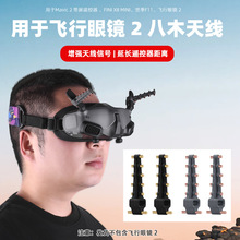 BRDRC�m�ô�Avata�w�����R������̖�Ŵ���Goggles2��ľ�쾀���