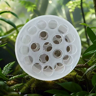 轻奢透明色圆形多孔鲜花创意花瓶客厅插花花器餐桌摆件艺术造型风