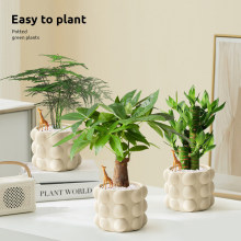 �lؔ��С�����҃ȾGֲ�k�����������Կ͏d�ļ���������ȩ�����՚�