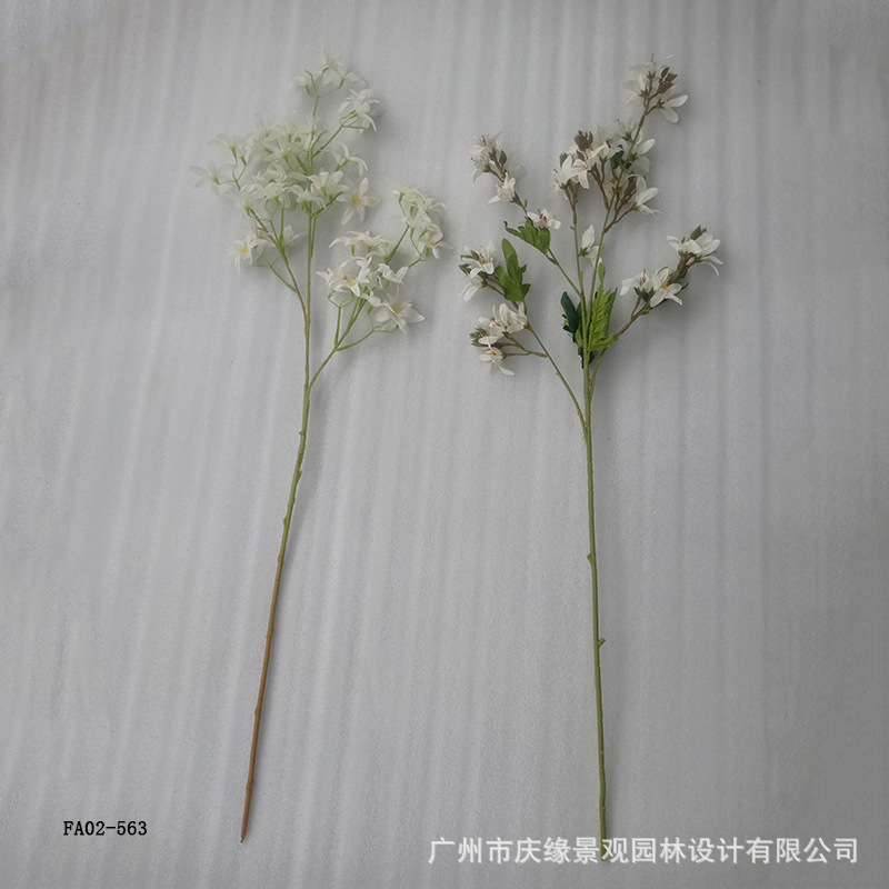 未标题-4.jpg