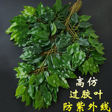 �Ř��~�����b�ֲ���~�����Ϙ�֦�G�~�������ʹ���~�Ř�֦