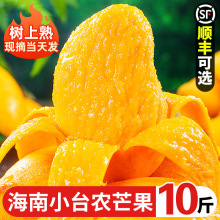 ����С̨�râ�����r10��С̨âˮ����������t�������������خa