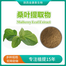 桑叶DNJ桑叶提取物桑叶粉1-脱氧野尻霉素桑叶黄酮桑叶生物碱500克