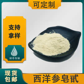西洋参皂甙琼华生物 西洋参提取物 工厂供应西洋参总皂苷 500g/袋