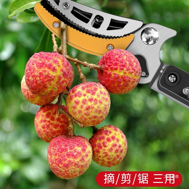 绿林摘果神器伸缩杆摘柿子水果剪刀摘枇杷龙眼高空采摘剪刀摘吾购