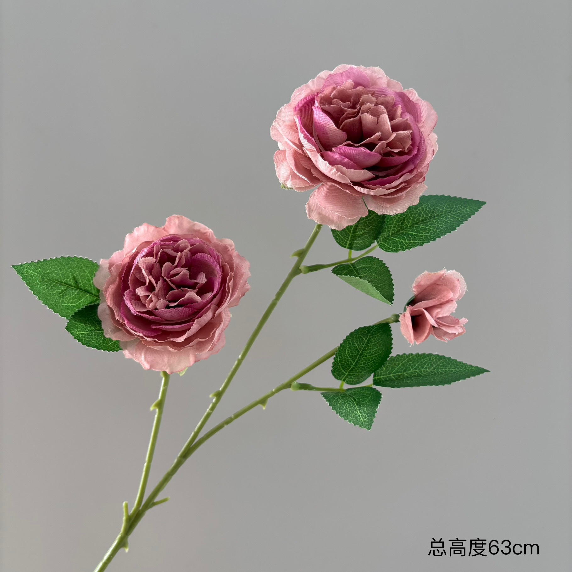 된장색