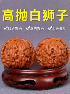 ������Ґ���ת{���^���������O���@����������Ҵֽ���{�Ϻ���