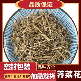 ���l�j�˻��䱳����ș���j�˻��j���j���o���݃��c�ݵ��ײ�������