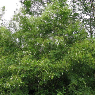 ���Ӵ̷N�Ӈ��@�{�G�h���д��y�Ϛgɢ�b��·�G���o�¹�����ľ�N��