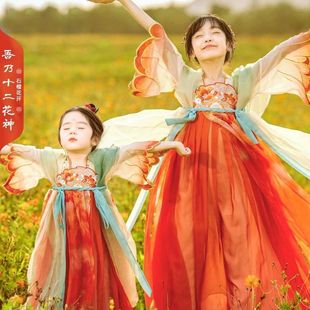 New style. Pomegranate Blossom Girls' Hanfu Spring and Autumn Children's Mid-Autumn Festival Super Fairy Ancient Dress dress Autumn