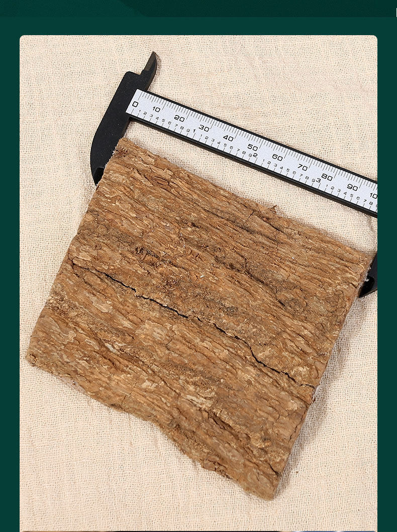 Wild Eucommia Bark 500g Du Zhong Dried Herbal Bark for Soup Wine and Tea in use