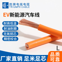 ��������Դ���׮EV������2.5 4 6 10 16 25 35 50ƽ�����׮��