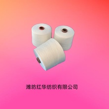 ��]��21֧2�ɷ����21֧2�ɏS�ҹ��C���h�V����T21S�����2��