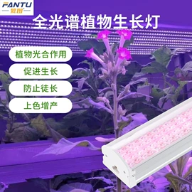 植物生长灯