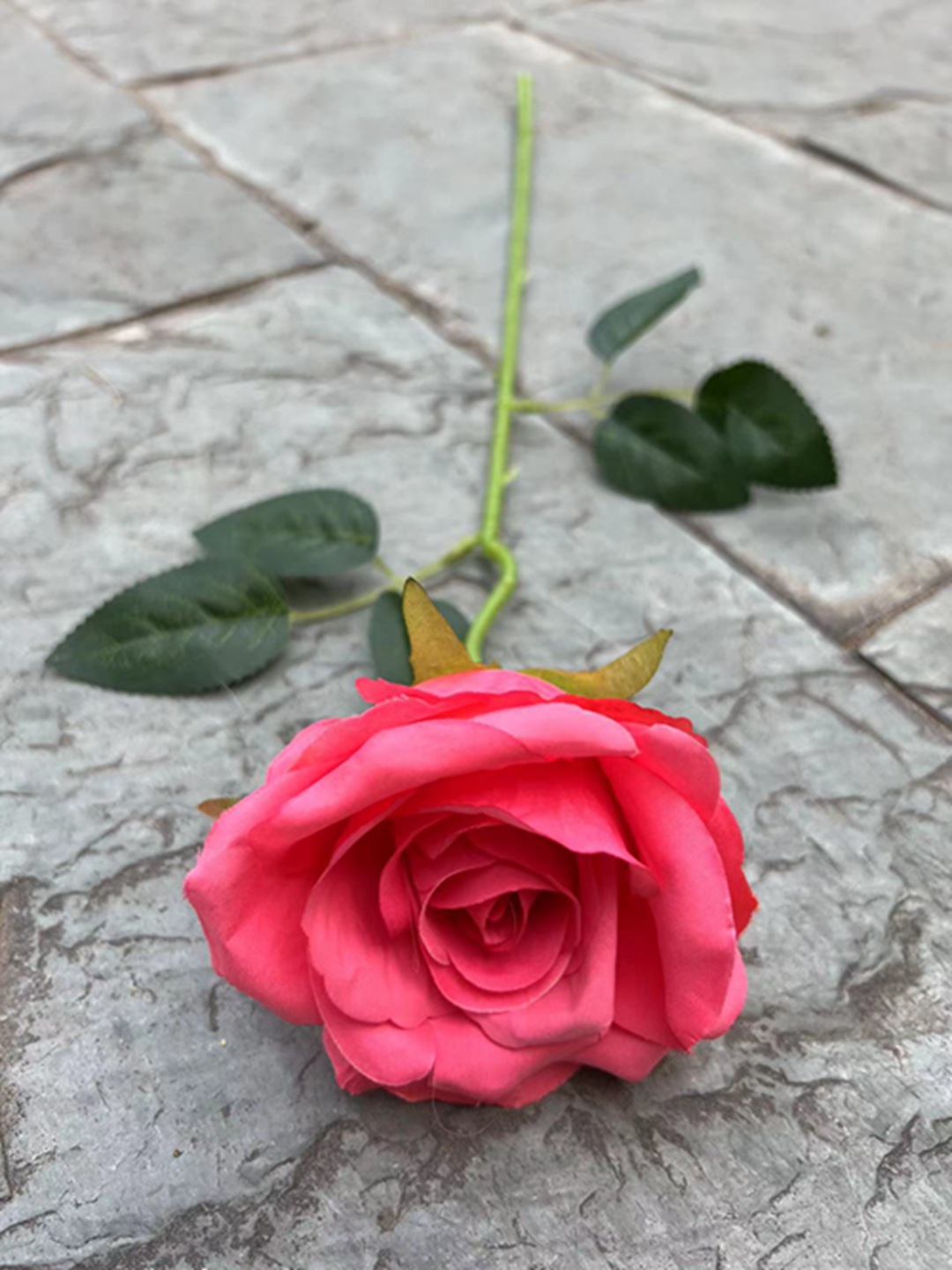 微信图片_20230330113509