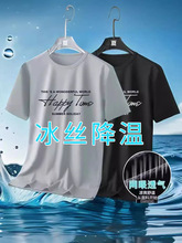 2024夏季网眼显冰丝t恤百搭印花瘦薄款圆领衫速干短袖T恤男运动风