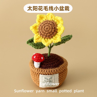 Classmate friendship weave mushroom Sun Flower Wool Wool Wool small potted graduation photo photo props youth not Open field