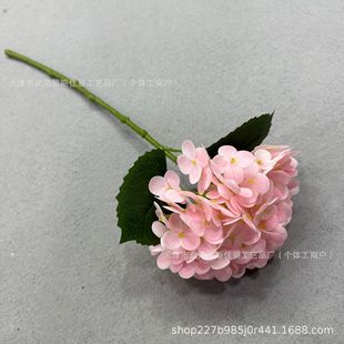 ������滨�ָб��񻨰��Y��ղ��üҾӼٻ��[���b��S���Q