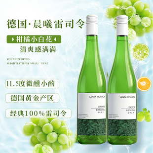�W�t������M�ڰ����Ѿ�11.5�ȸɰ����Ѿ�50mlֱ�����l