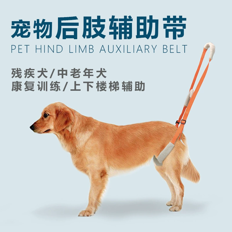 Amazon Новый портативный бустерный ремень для домашних животных Пояс помощника по лестнице для собак Подъемный реабилитационный тренировочный пояс для домашних животных